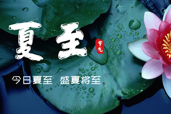 金邦木业 | 夏至,一切美好随夏而至
